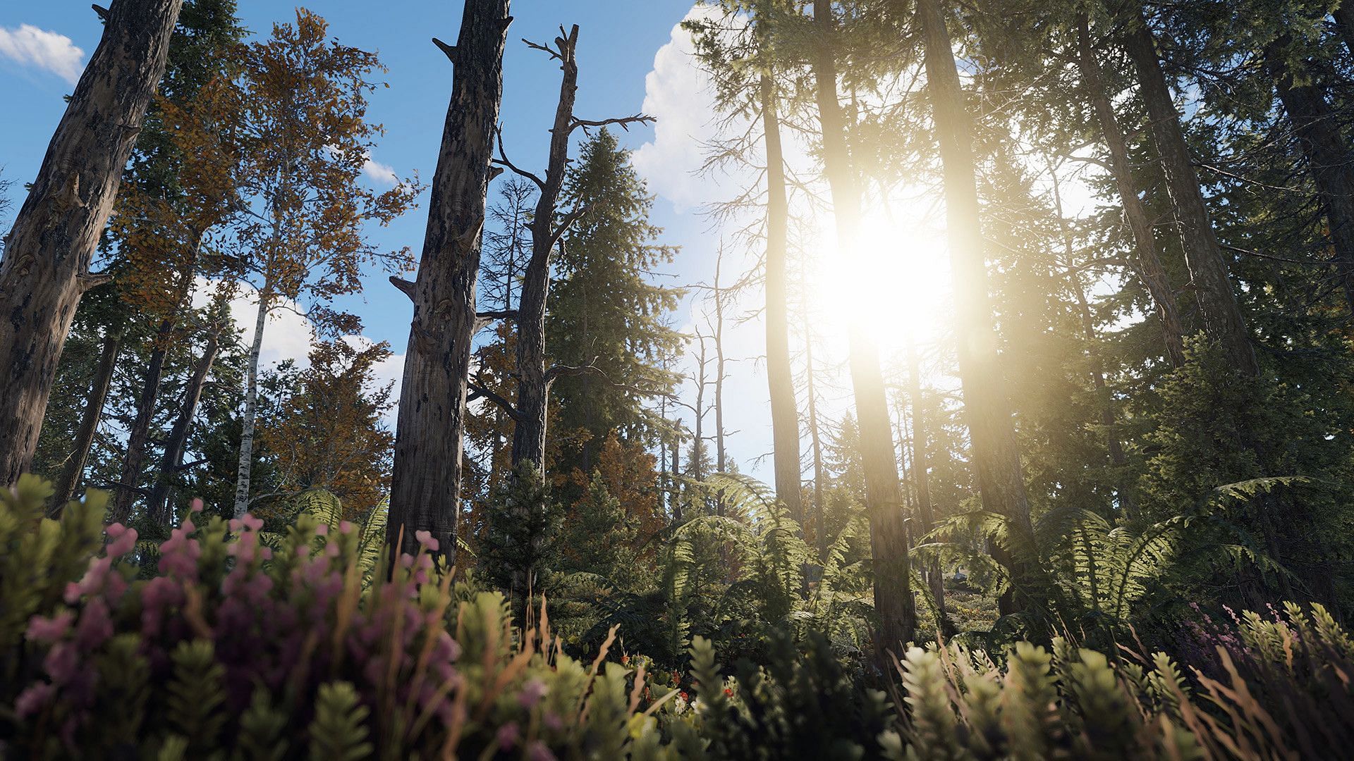 Rust jungle biome preview (Image via Facepunch Studios)
